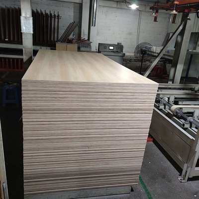 Competitive price 3mm 6mm 9mm 12mm 15mm 18mm 25mm Okoume Bintangor Pine Birch Poplar plywood furniture plywood