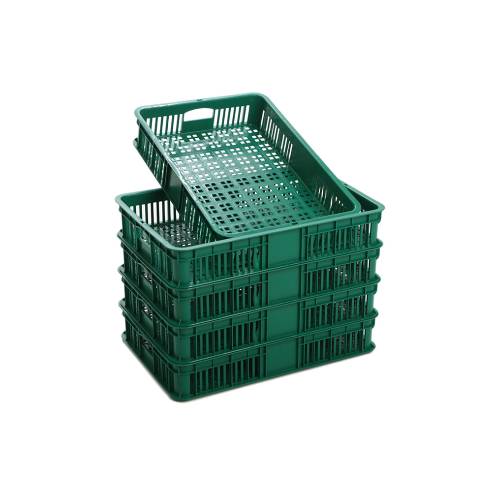 Double-sided 1600mm widths Supermarket Mobile fruit and vegetable display stand plastic display Steel Rack shelf for vegetables