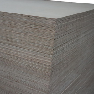 Hot Selling Plywood Sheet 4x8 Melamine Board Laminated White 18mm Blue Color Paper Faced