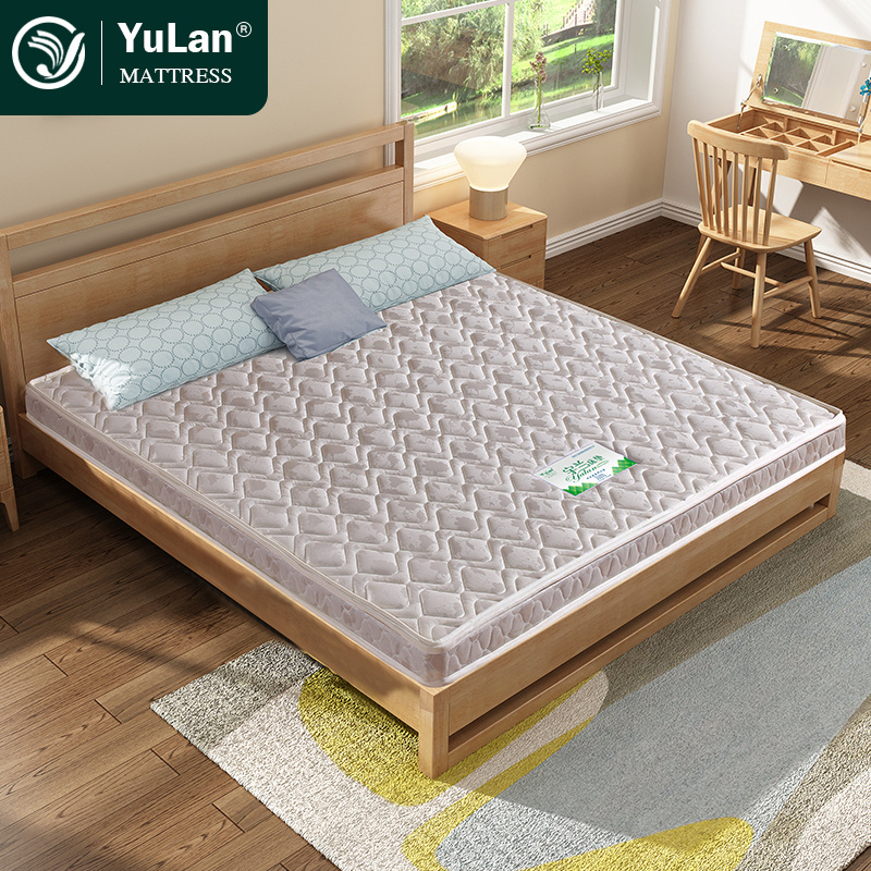 New Cheap Price Queen Size Coconut Palm Coir Fiber Sheet Pad School Hospital Apartment Soft Firm Mattress