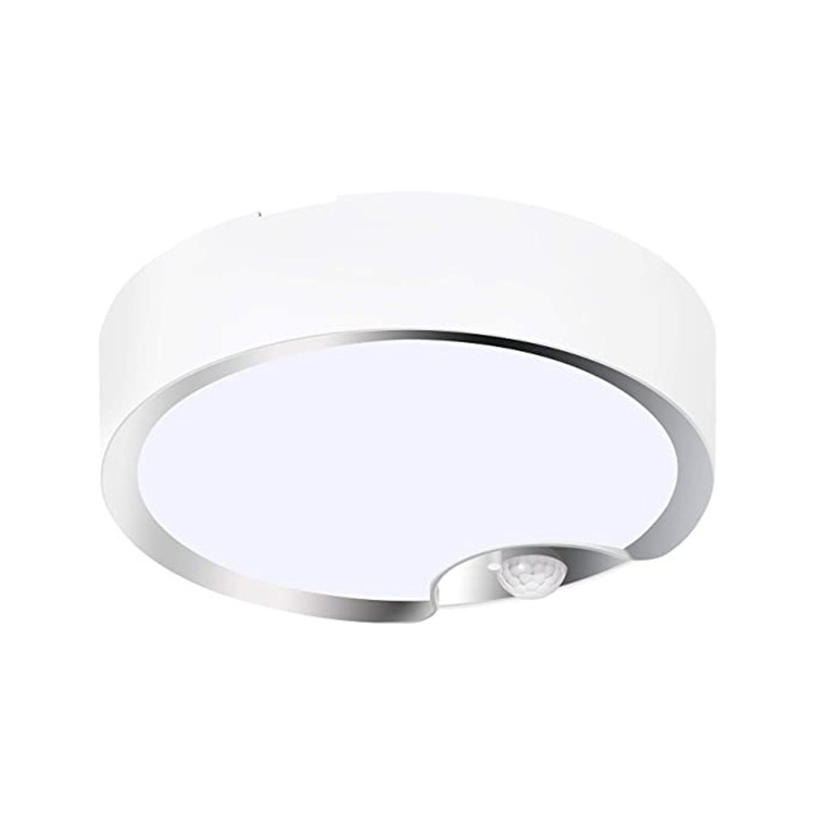 Motion Sensor Ceiling Light Battery Operated Indoor/Outdoor LED Ceiling Lights