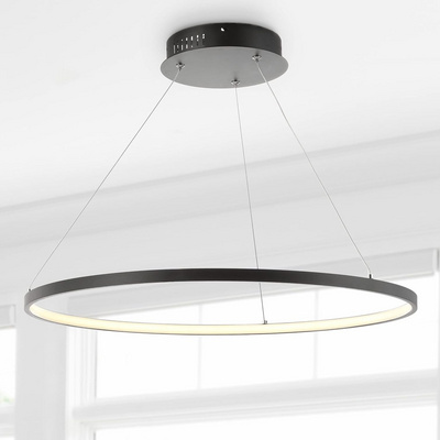 Modern Round LED Pendant Light Matte Black Indoor Ceiling Lighting For Kitchen Living Room Bedroom Foyer