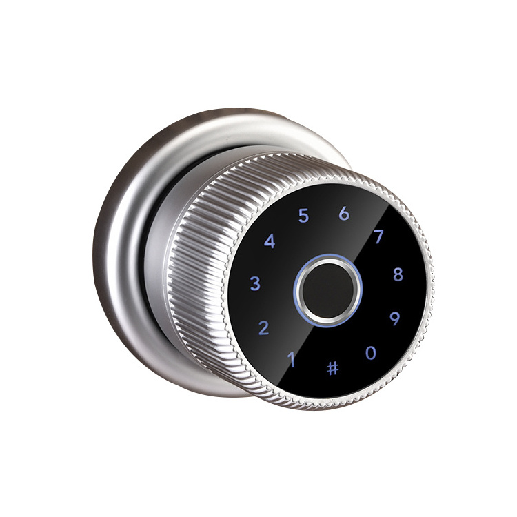 Round Knob Digital Door Lock Apartment Office Biometric Fingerprint TTlock Intelligent Door Lock