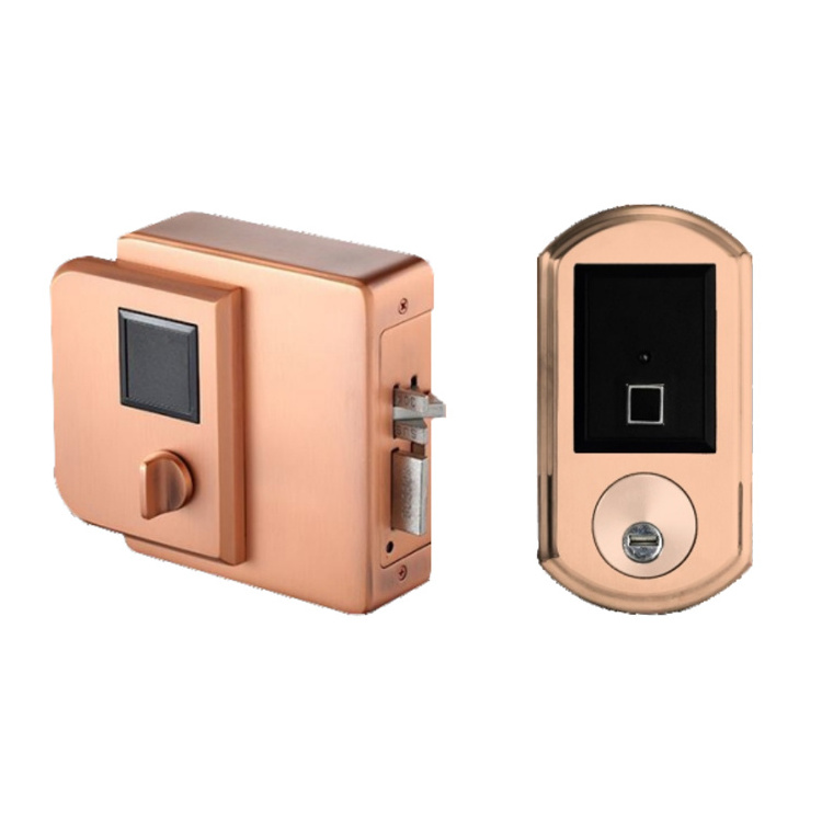 dual sides outdoor waterproof IP65 smart rim lock remote control fingerprint keyless gate electrical entrance front  door locks