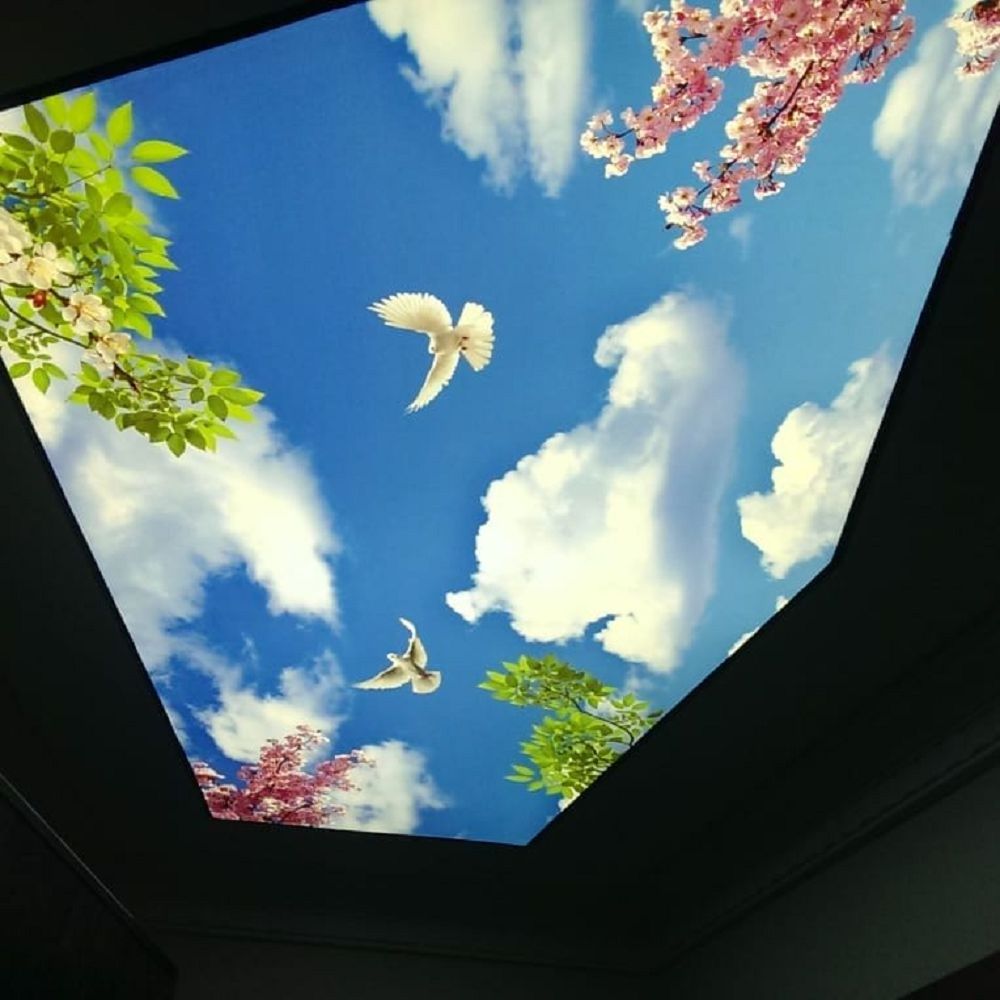 Green red flowers clear sunshine blue sky clouds UV print modern suspended ceilings for restaurant 3d effect stretch ceiling