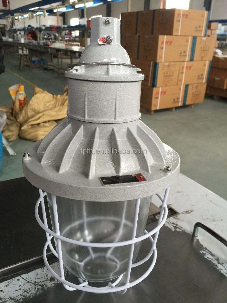 BAD51 Exd IIB IP65 250W Explosion proof metal halide lamp waterproof dustproof corrosion proof anti-explosion lgitht