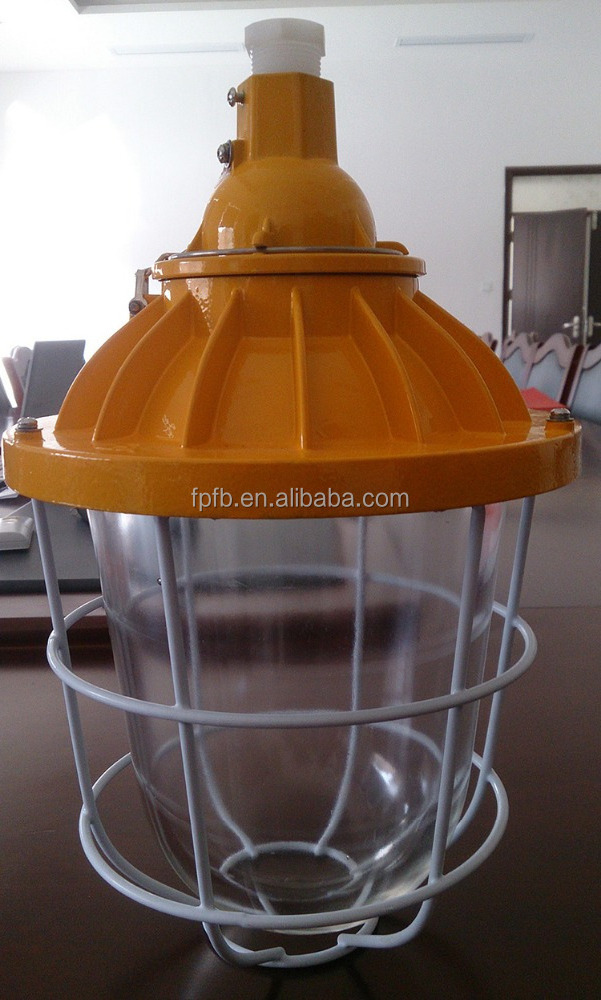 BAD51 Exd IIB IP65 250W Explosion proof metal halide lamp waterproof dustproof corrosion proof anti-explosion lgitht