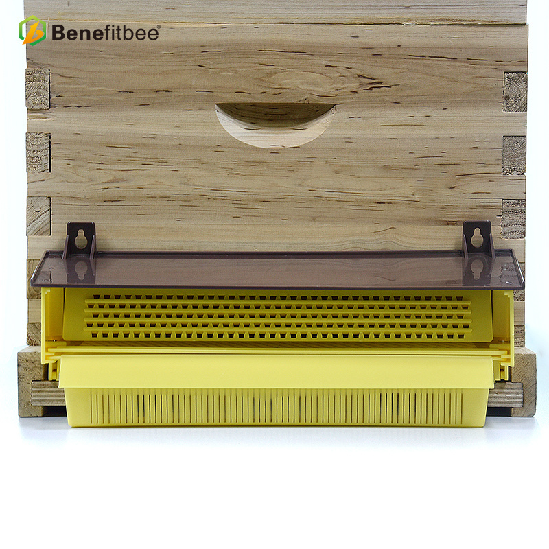 Bee pollen trap for beekeeping tool