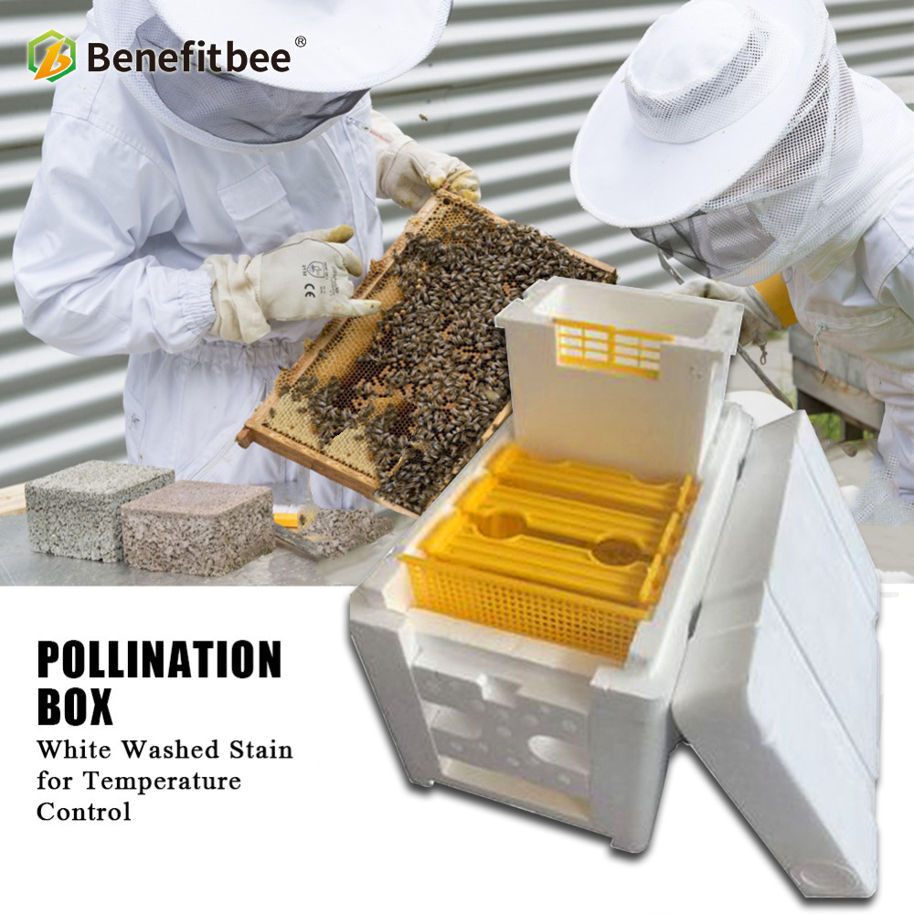 Beekeeping tools equipment mating box bee breeding box nuc box polystyrene bee hive