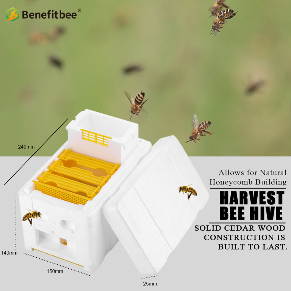 Beekeeping tools equipment mating box bee breeding box nuc box polystyrene bee hive