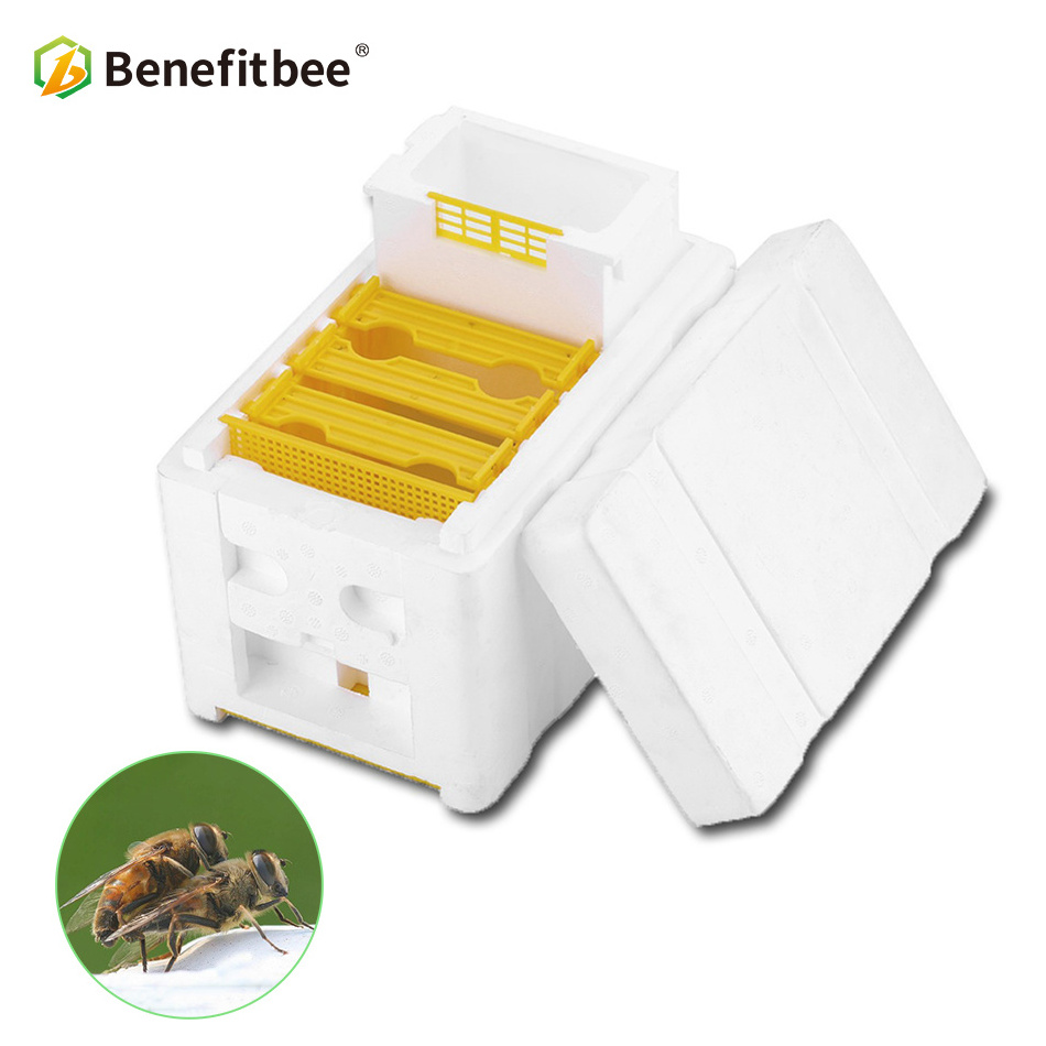 Beekeeping tools equipment mating box bee breeding box nuc box polystyrene bee hive