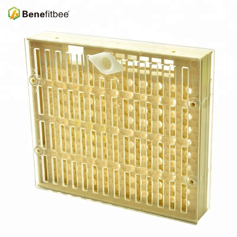 Major bee beekeeping tool nicot queen rearing system for professional beekeeping