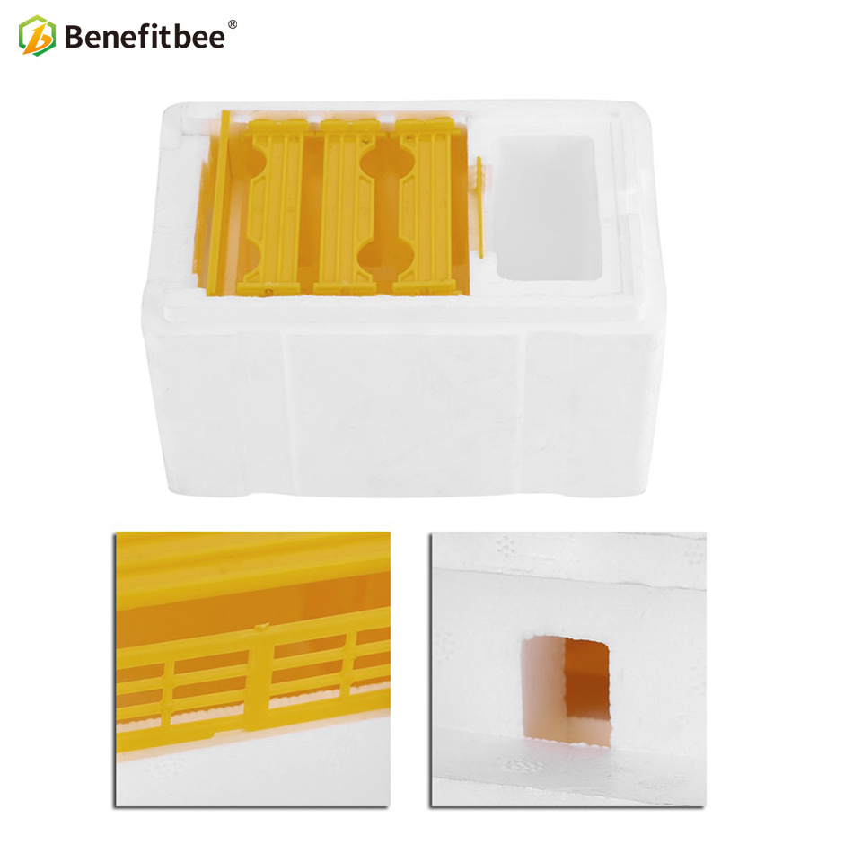 Beekeeping tools equipment mating box bee breeding box nuc box polystyrene bee hive