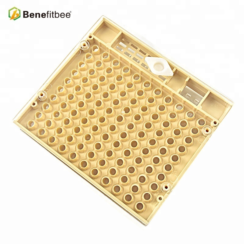 Major bee beekeeping tool nicot queen rearing system for professional beekeeping