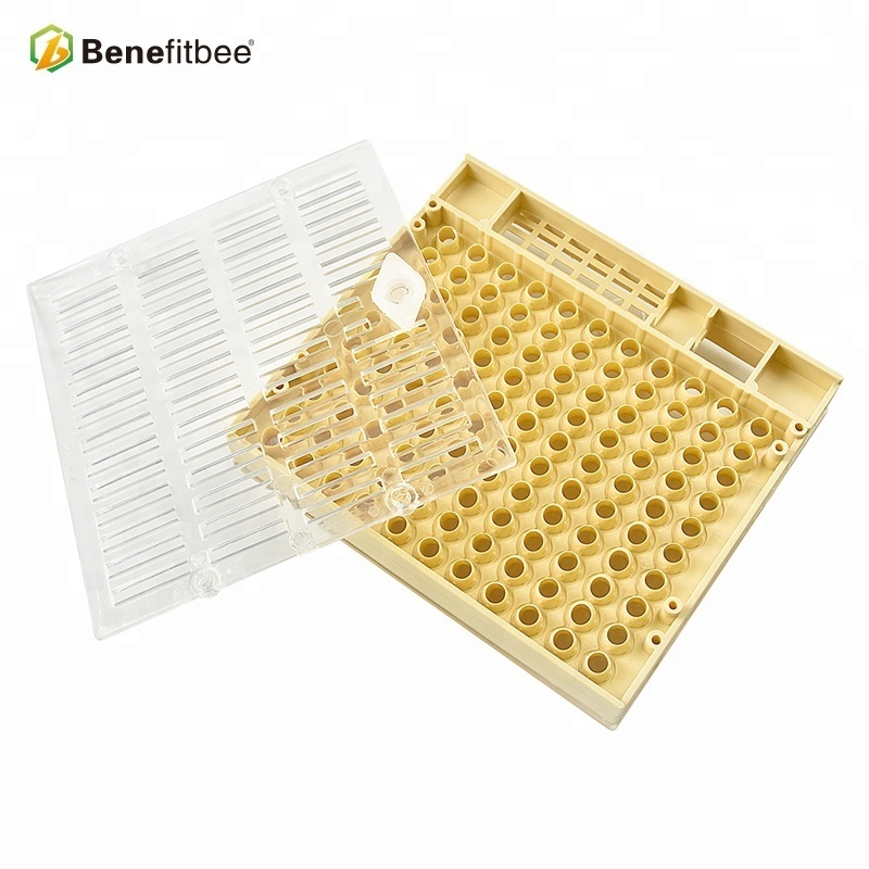 Major bee beekeeping tool nicot queen rearing system for professional beekeeping