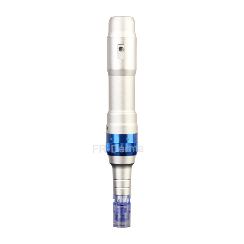 Portable Dr.pen dermo pen microneedling pen A6