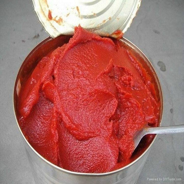 OEM Carton Canned Tomato Sauce with Customer Brand