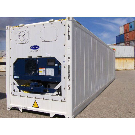 Good Price Carrier Repaiting 20ft Used Refrigerated Reefer Container for Sale