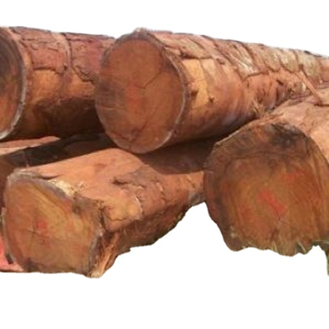 2023 PINE SPRUCE BIRCH OAK ASH LOGS/TIMBER and eucalyptus timber wood logs