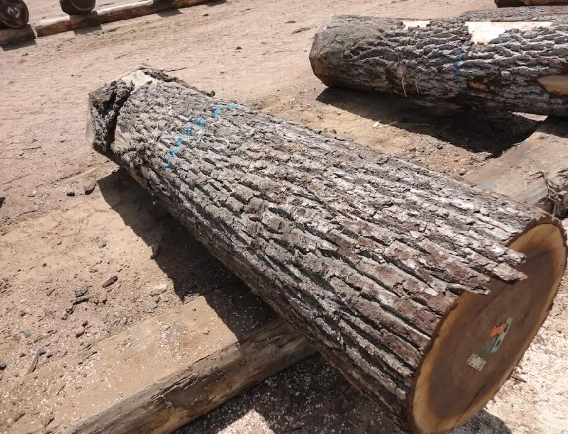 wholesale solid wood wholesale wood logs black walnut slab timber grade ABUBINGA slab timber BUBINGA wood timber