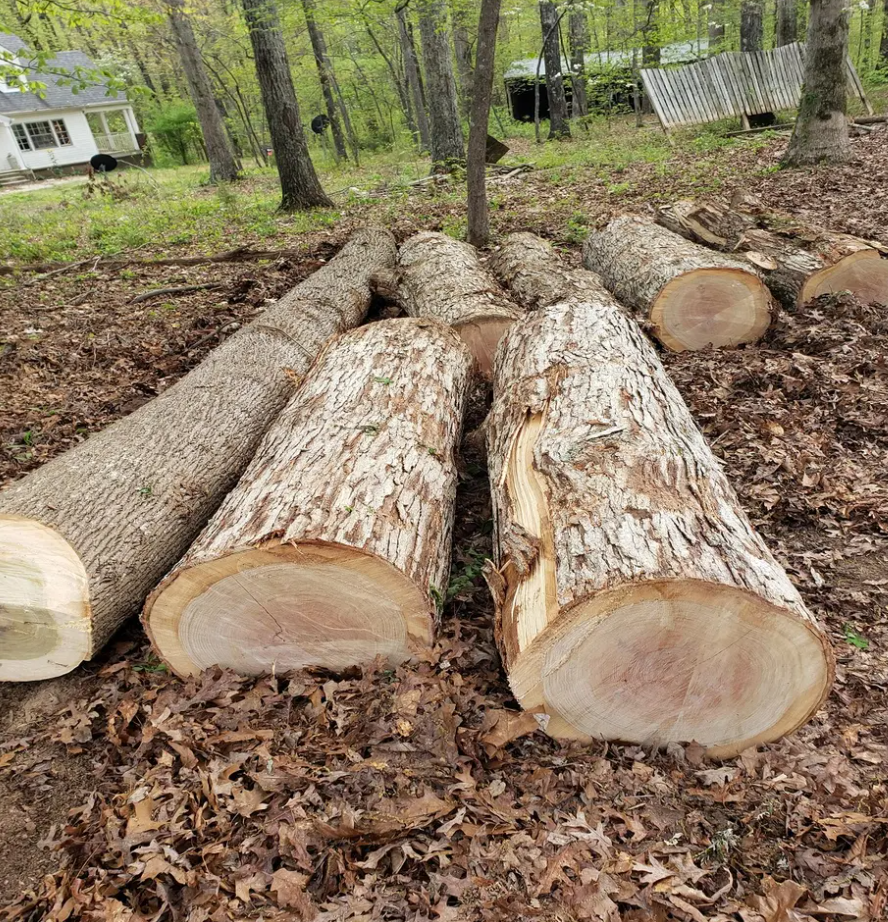 Planed All Round Canadian Hard Maple Timber and Timber Sizes Red Padauk Wood Logs for Furniture