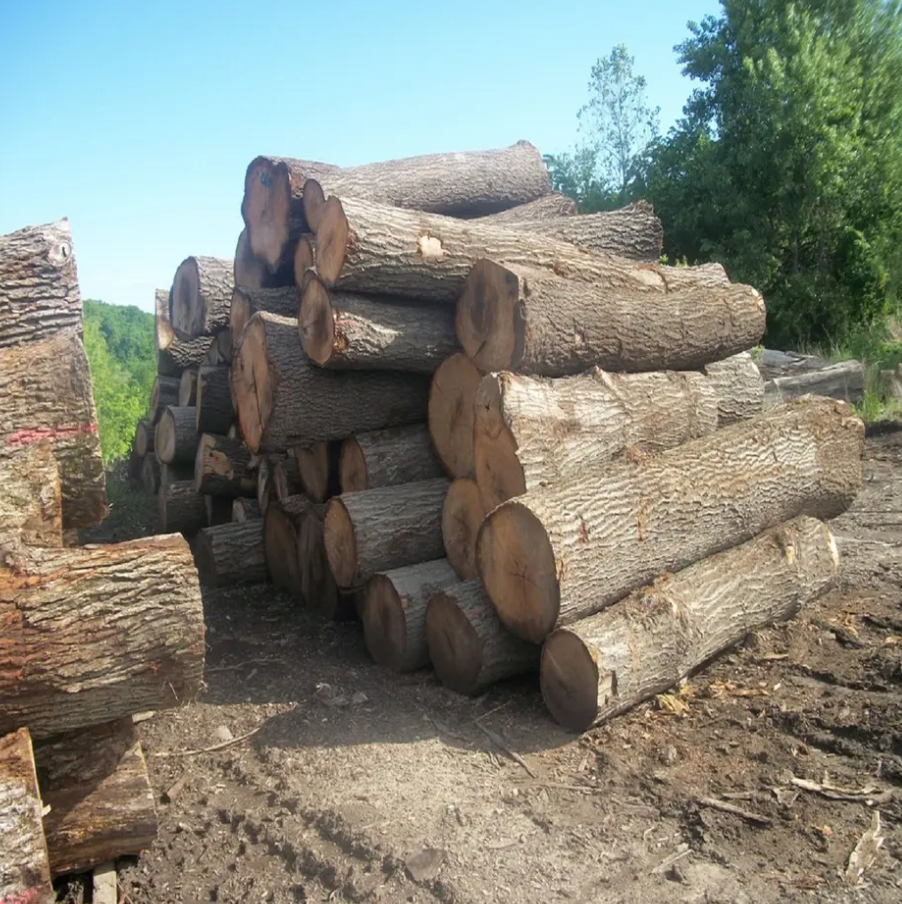 Planed All Round Canadian Hard Maple Timber and Timber Sizes Red Padauk Wood Logs for Furniture