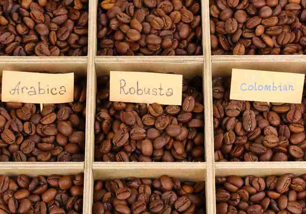 brazil arabica coffee beans medium roast coffee beans of arabica and robusta vietnam