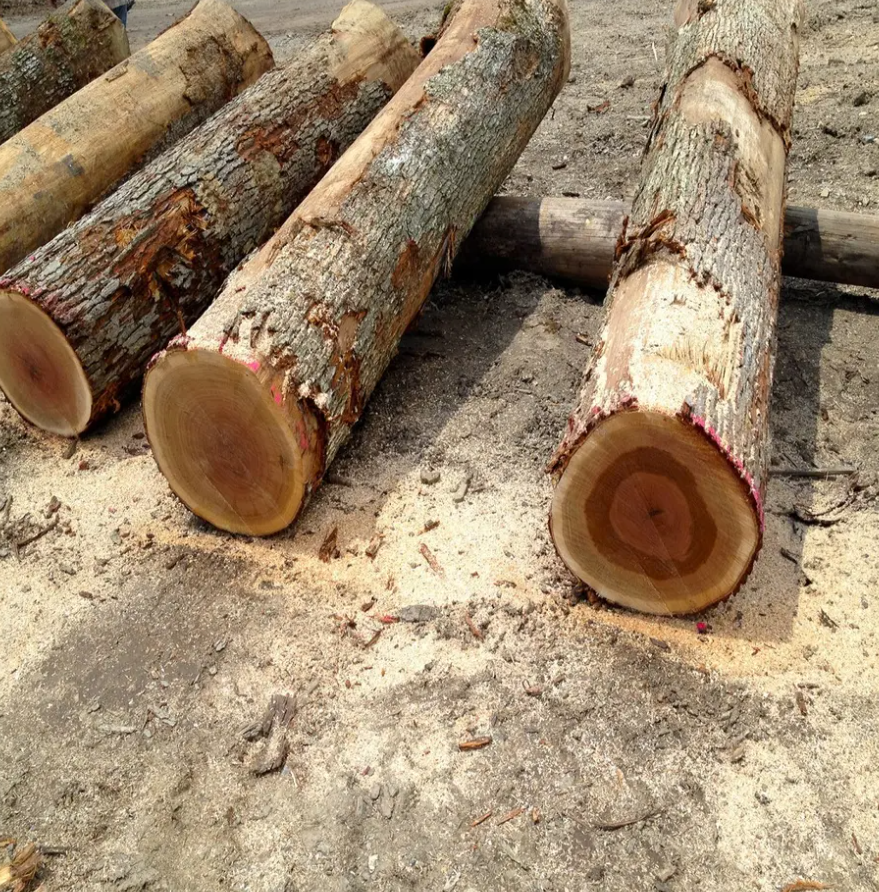 Planed All Round Canadian Hard Maple Timber and Timber Sizes Red Padauk Wood Logs for Furniture