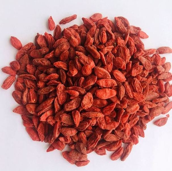 hot sale dried goji berry on discount now