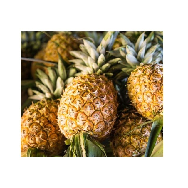 BULK SALE DISCOUNT PRICE FRESH  PINEAPPLE