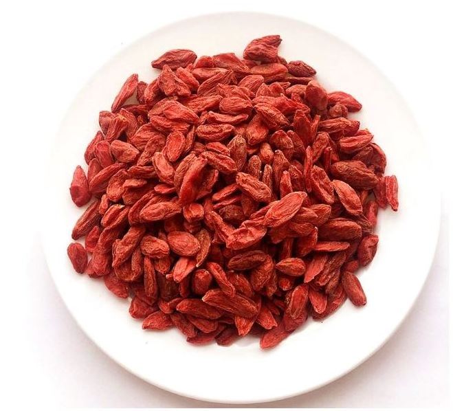 hot sale dried goji berry on discount now