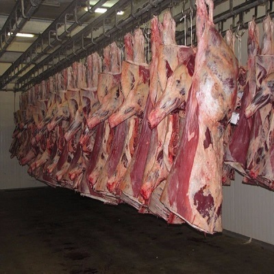 BULK SALE HALAL TRIMMED FROZEN BONELESS BEEF / BUFFALO MEAT FOR EXPORT NOW