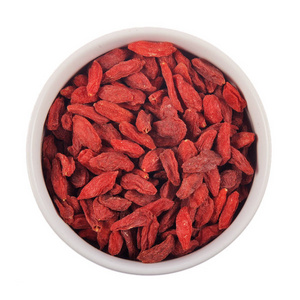 hot sale dried goji berry on discount now