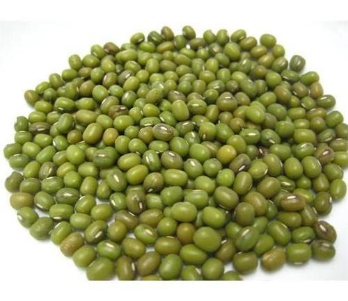 whole sale Green mung bean Moong dal sprout mung beans use for sale