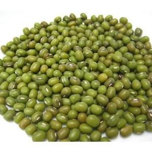 whole sale Green mung bean Moong dal sprout mung beans use for sale