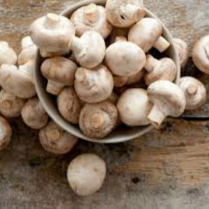 Whole sale Price Frozen Fresh Farm Mushrooms For Sale