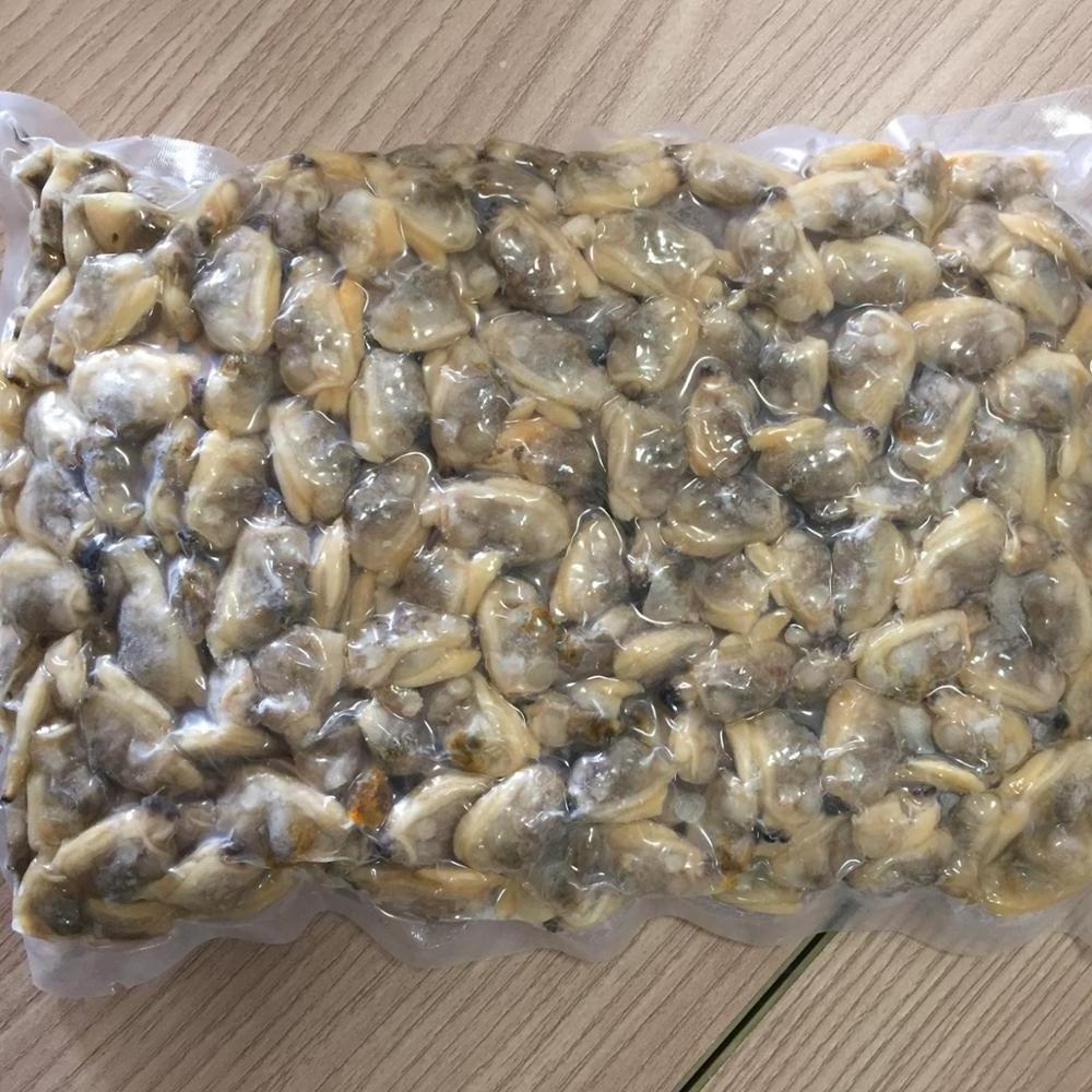 Top Quality Frozen Shellfish Mussels for sale