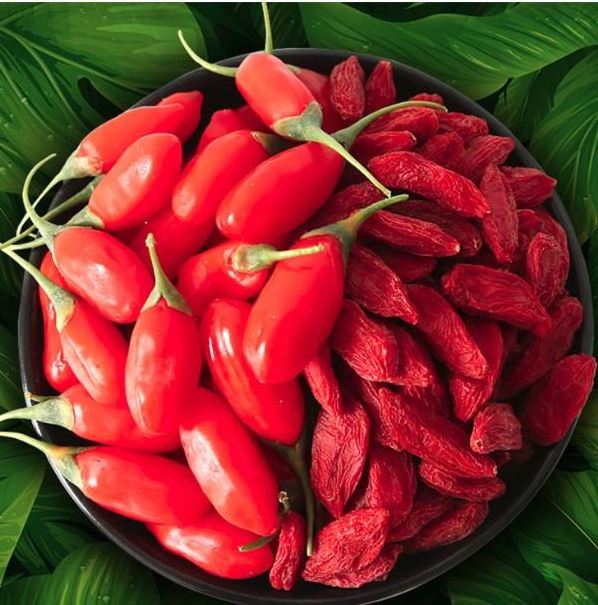 hot sale dried goji berry on discount now