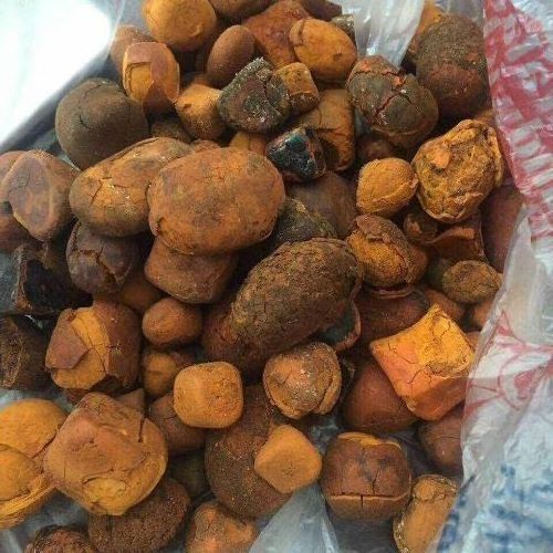 Natural Cow gallstone Ox Gallstone Outstanding Natural 100% Cow Gall Stones / Ox Gallstones