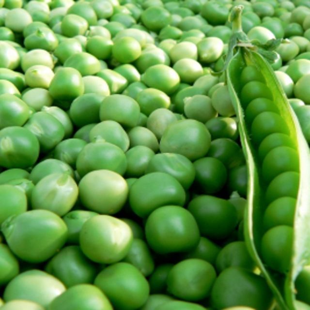 Peas Split Yellow Peas Chickpeas, Pigeon Peas or Toor Dal Whole