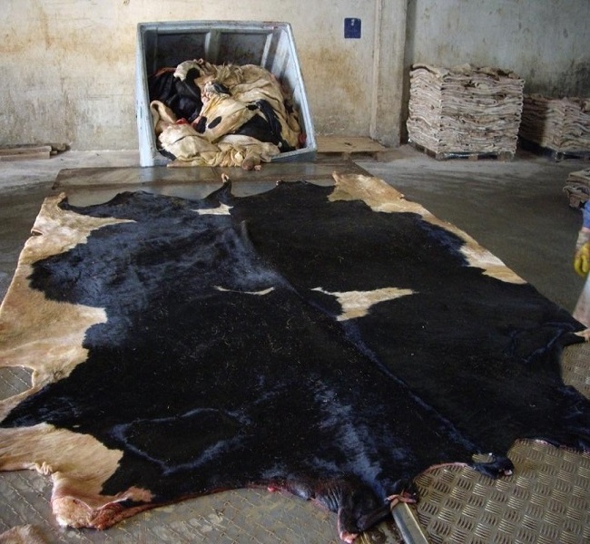 100% Genuine Finished New Faux fur Cow Skin Hide