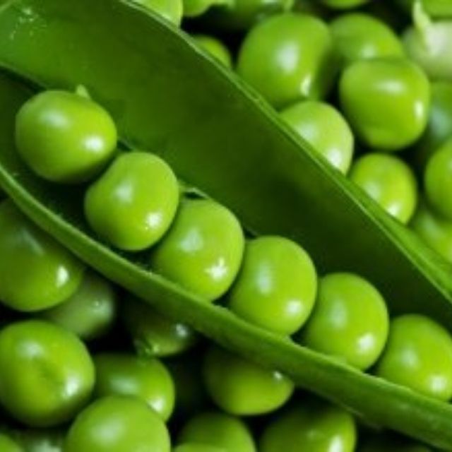 Yellow Wasabi Coated Green Peas for Sale, Wasabi Flavor Green Peas