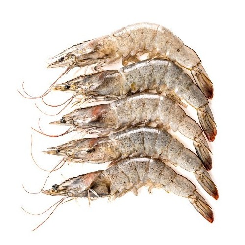 Fresh Frozen Aquaculture Black Tiger Head-on Shrimps