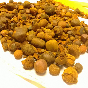 Natural Cow gallstone Ox Gallstone Outstanding Natural 100% Cow Gall Stones / Ox Gallstones