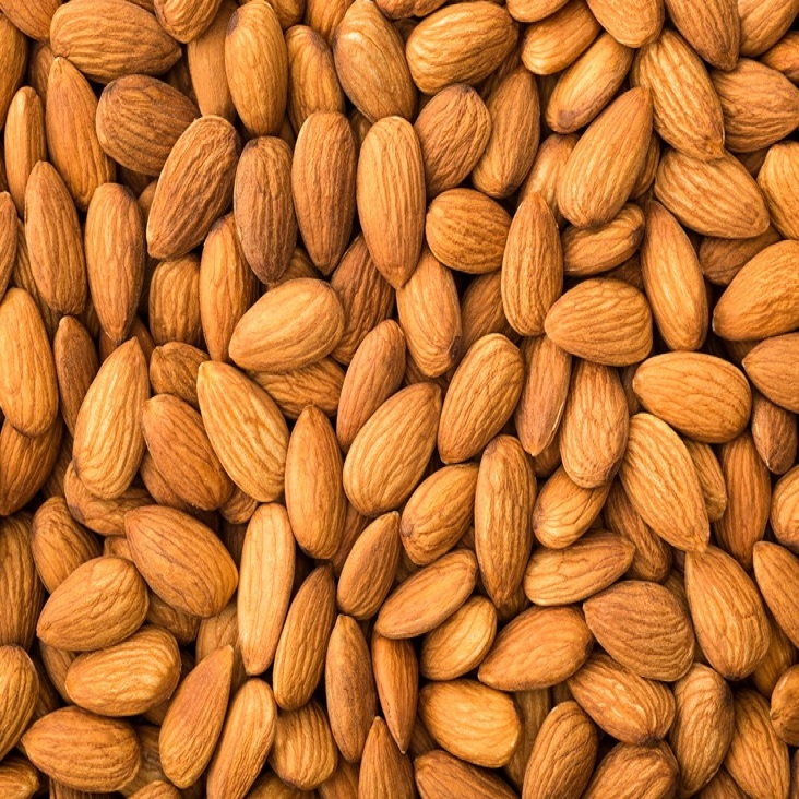 Cheap price premium Almond Kernel, Almond Nuts, Sweet Almond