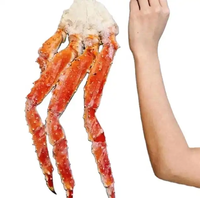 King Crab Legs Frozen Quality King Crabs Snow Crab/Alaskan King Crabs/Norwegian king crabs