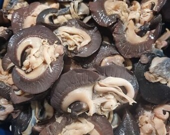 Top Quality Fresh Healthy Giant African Snails In Bulk Quantity