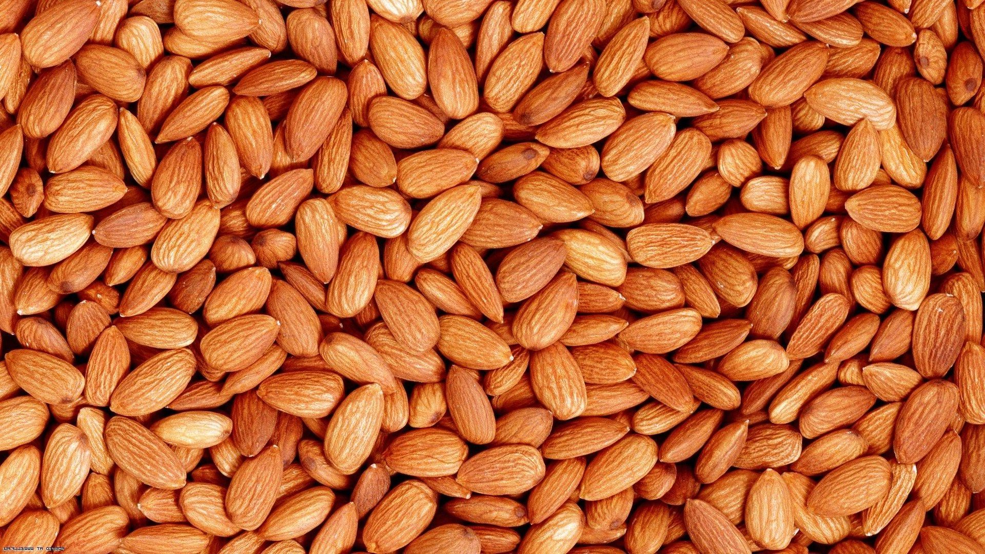 High Quality Almond Nuts / Raw Natural Almond Nuts / Organic Almonds For Sale California Almonds For Export