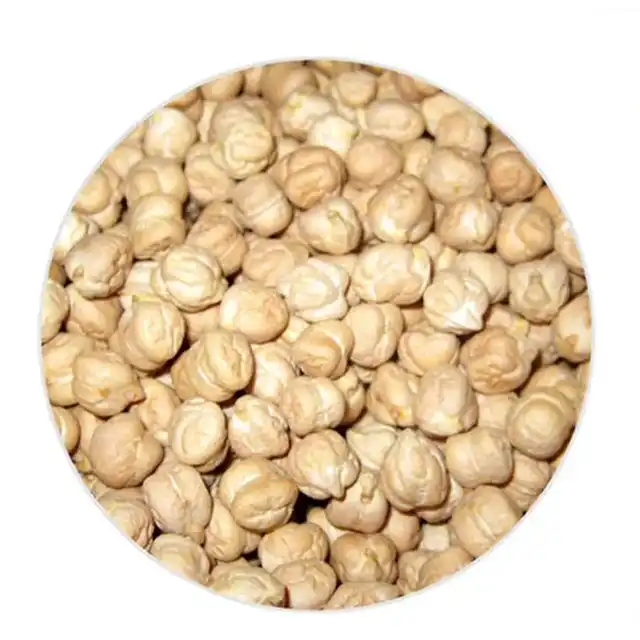 Wholesale Chickpea High Quality 8 mm Chickpeas From Turkey Dried Legume Bulk Style Hot Sale Chickpea