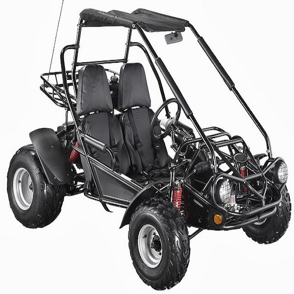 Cheap Price Dune Buggy 4x4 Electric Buggy for Adults